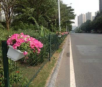 生态园榴莲推广APP网站入口网